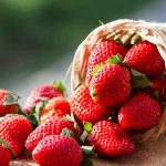 صبحانه‌ای سالم، سریع و بدون پخت: فقط در ۵ دقیقه آماده‌اش کنید