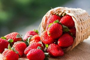 صبحانه‌ای سالم، سریع و بدون پخت: فقط در ۵ دقیقه آماده‌اش کنید