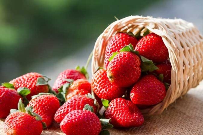 صبحانه‌ای سالم، سریع و بدون پخت: فقط در ۵ دقیقه آماده‌اش کنید
