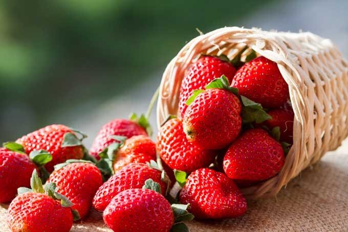 صبحانه‌ای سالم، سریع و بدون پخت: فقط در ۵ دقیقه آماده‌اش کنید