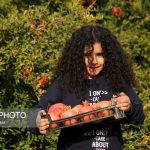 انار خوب چه خصوصیاتی دارد ؟ | نکات خرید و نگهداری انار؛ راهنمای انتخاب انار سالم و ماندگار