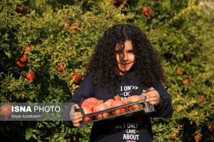 انار خوب چه خصوصیاتی دارد ؟ | نکات خرید و نگهداری انار؛ راهنمای انتخاب انار سالم و ماندگار